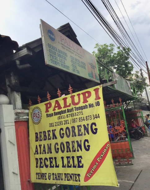 bebek goreng palupi