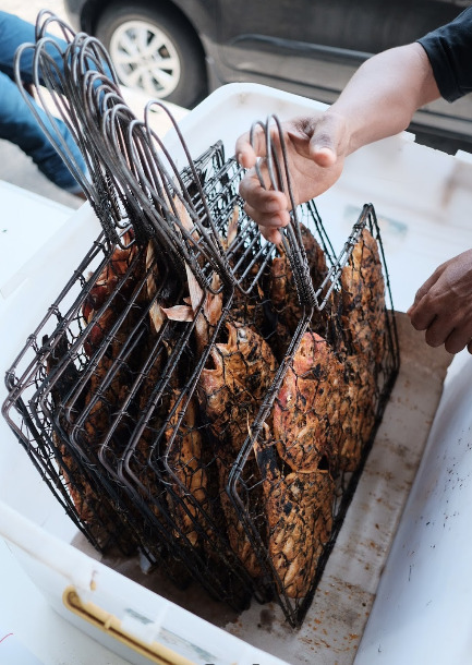 rumah makan fuja