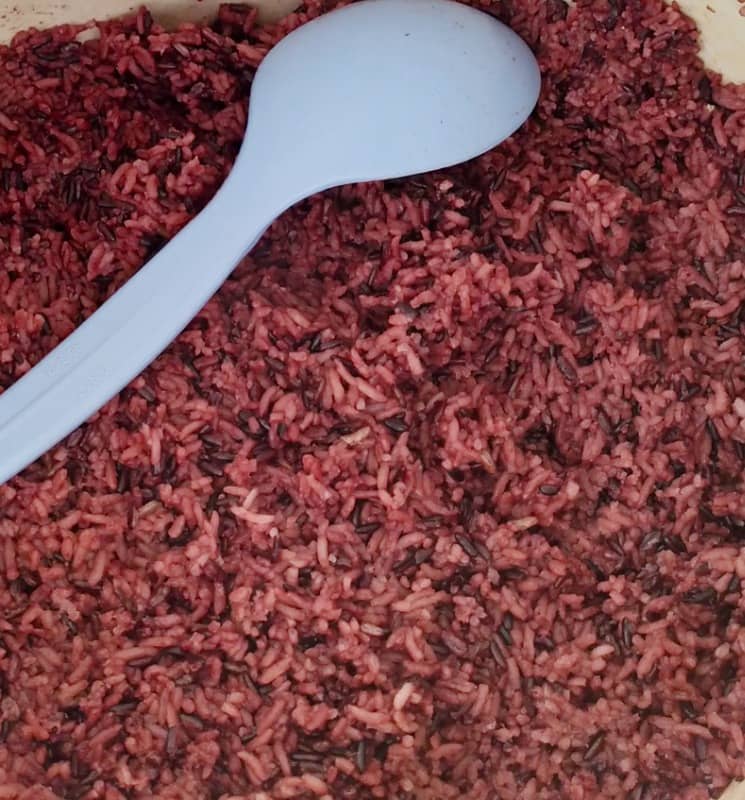 sego karak gresik