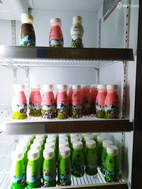rumah susu sudiro kud