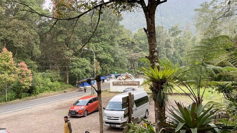 Warung Kopi Gunung, Tawarkan Sensasi Ngopi di Tengah Hutan Pinus