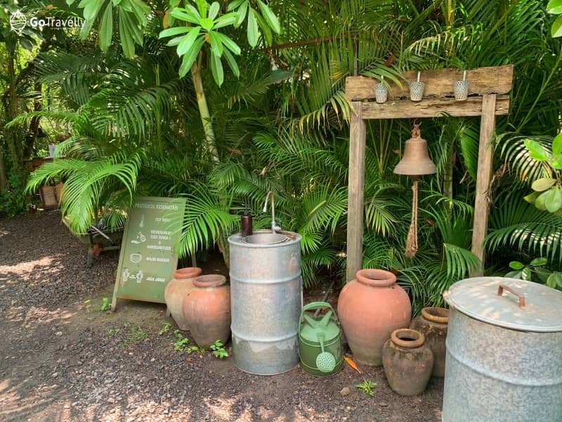 dekorasi alami menghiasi rustic market forest tree