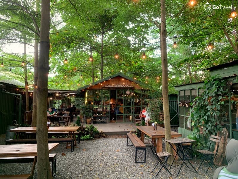 suasana di rustic market forest tree