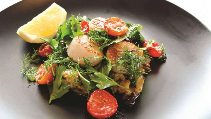 gambaro seafood restaurant