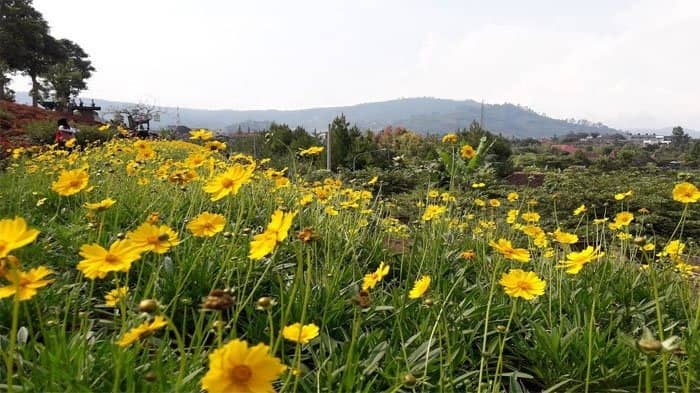 rainbow garden lembang