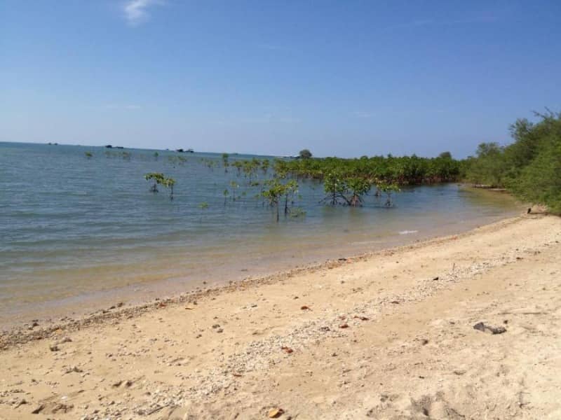 gili putih sumberkima