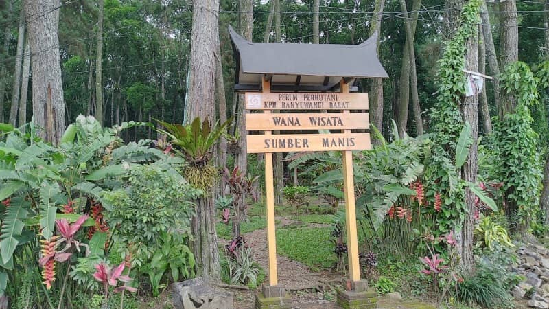 Wisata Sumber Manis