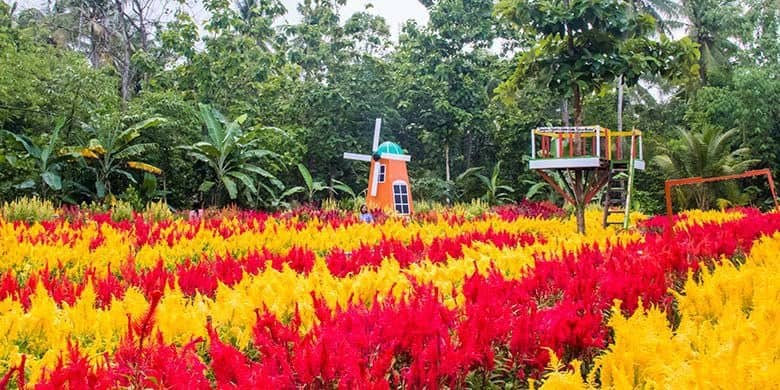 Kebon Asri Bayat