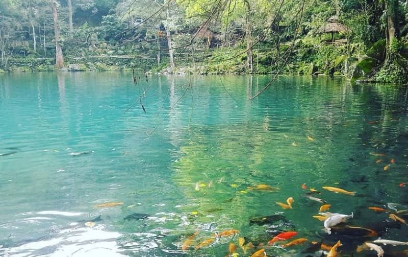 telaga cicerem