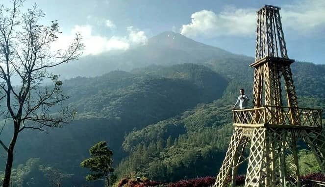 sendi adventure park
