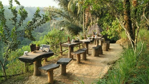 agrowisata bali pulina