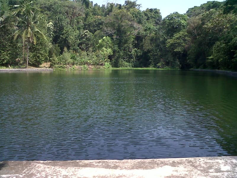 situ cipanten