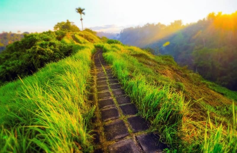 bukit campuhan bali