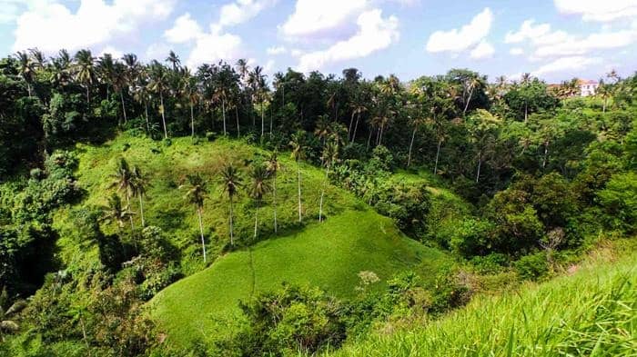 pemandangan di Bukit campuhan bali