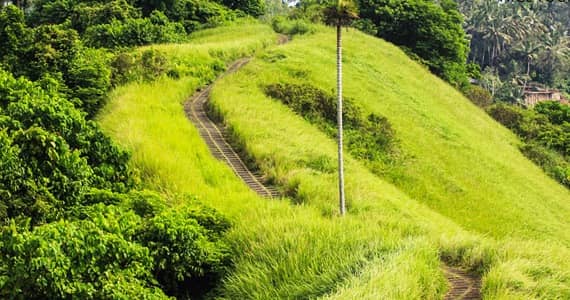 pemandangan di Bukit campuhan bali