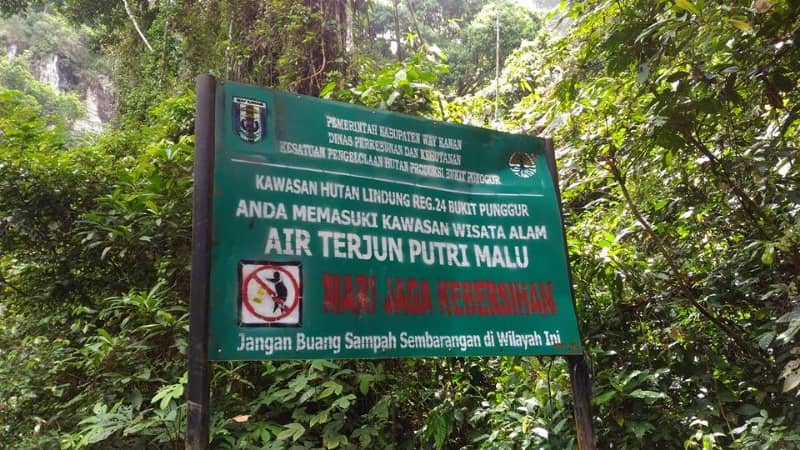 jalan menuju air terjun putri malu