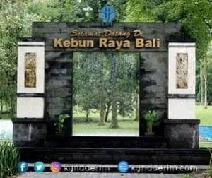 kebun raya bali