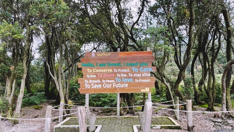 wisata alam Kawah Putih Ciwidey