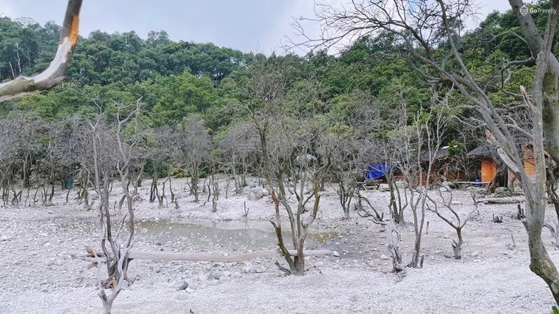 wisata Kawah Putih Ciwidey