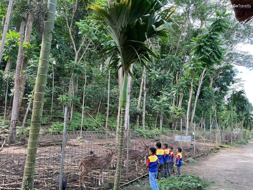 Agrowisata jember
