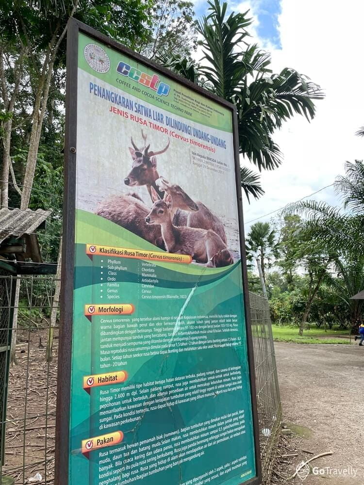 wisata Jember