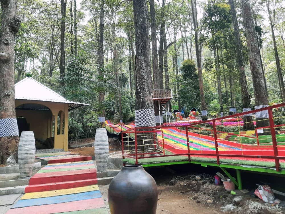 Lawu Green Forest
