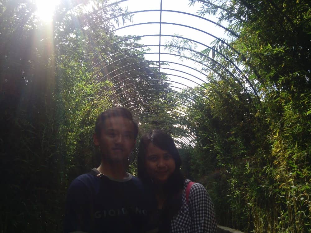 eco green park
