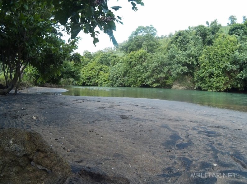 pemandangan pantai pangi