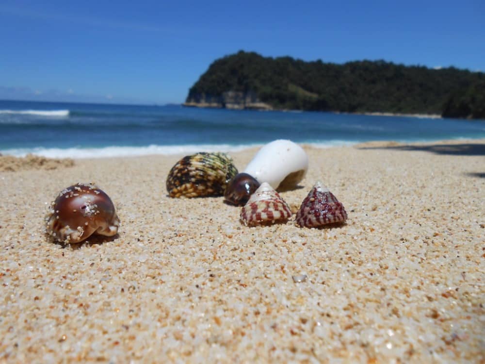 pantai ngalur