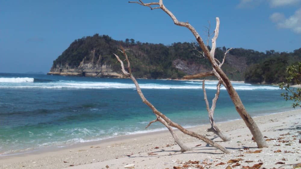 pantai ngalur