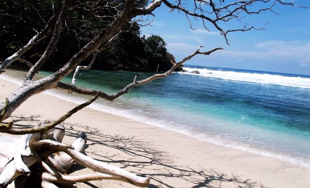 pantai ngalur