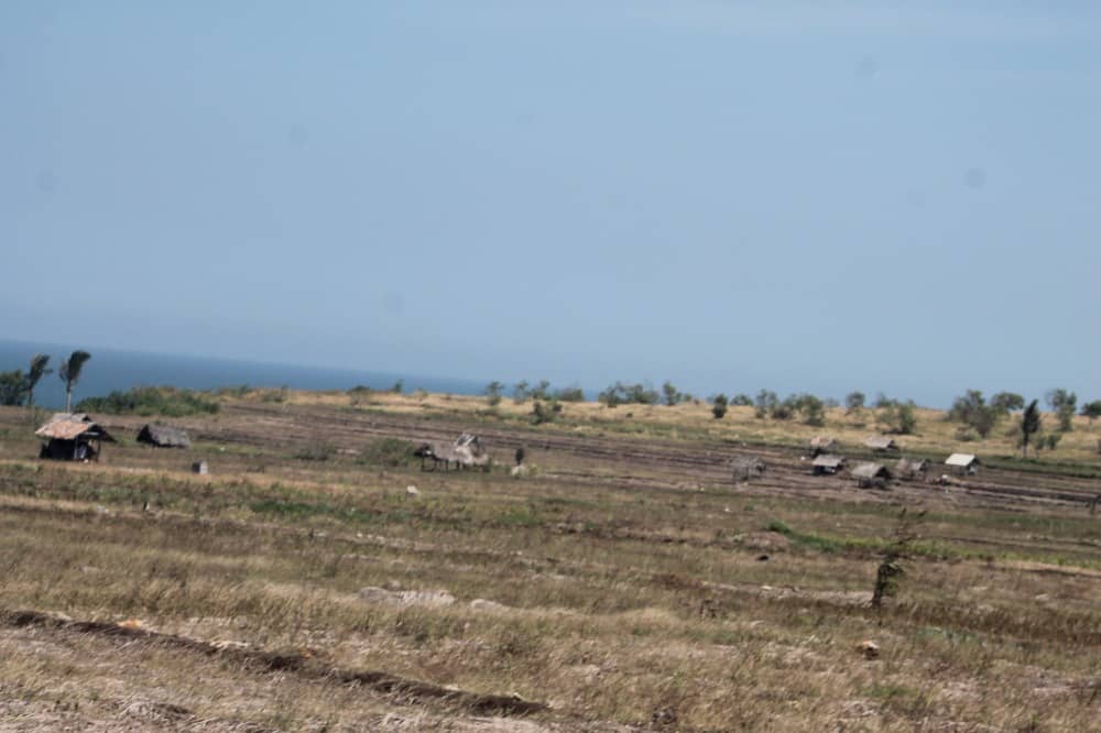 pantai buyutan