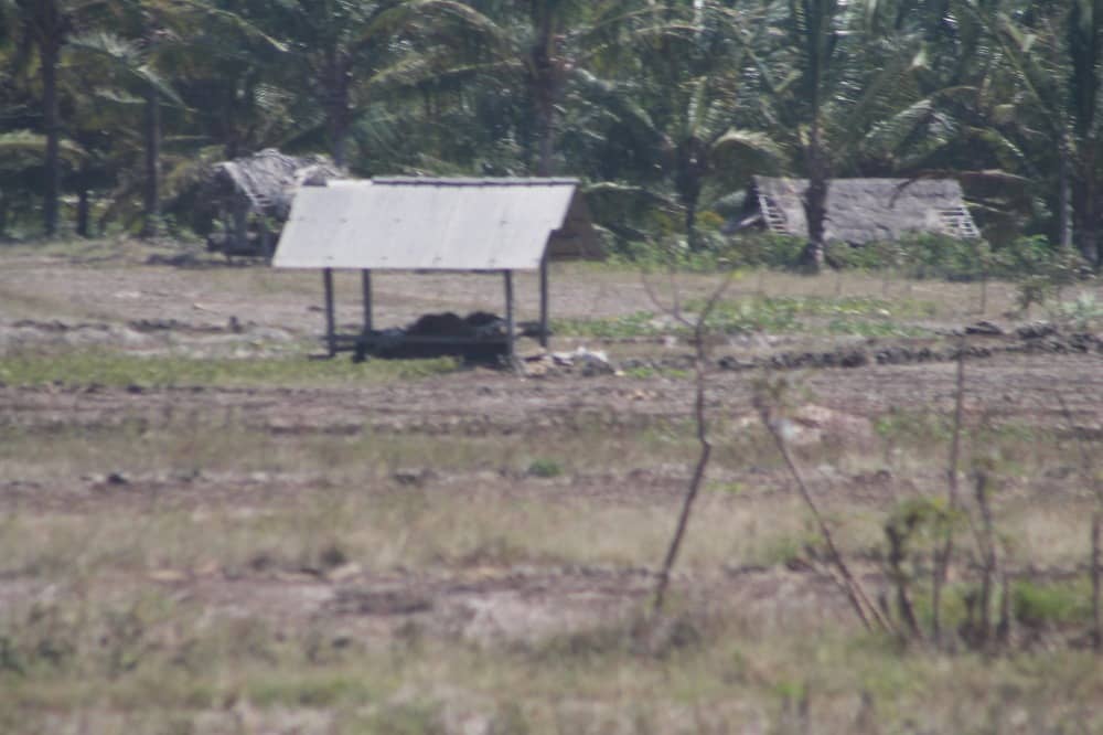 pantai buyutan