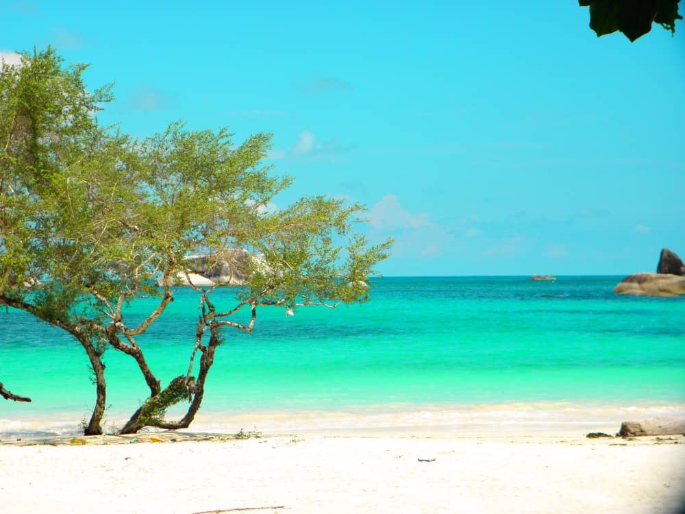 tanjung tinggi beach