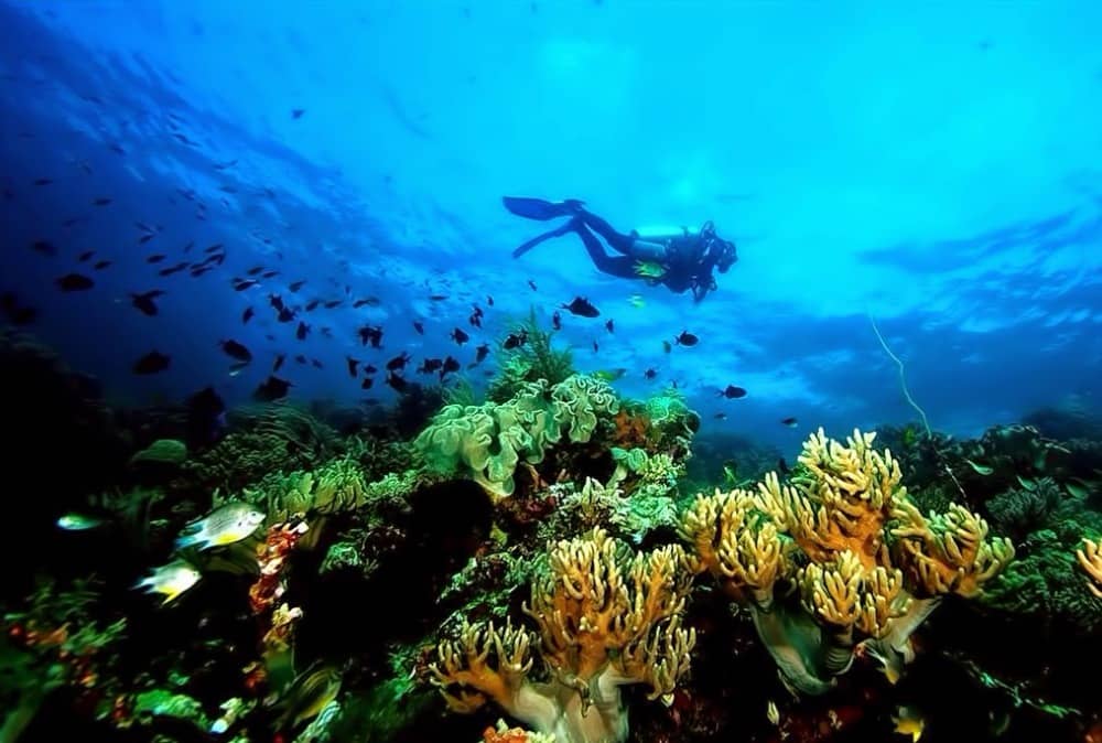 wisata di wakatobi