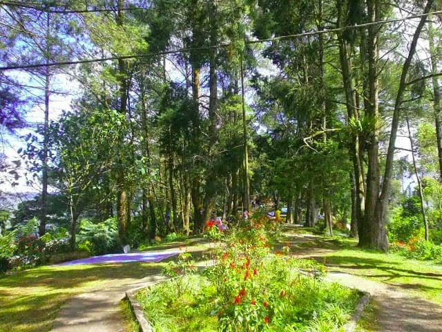 bukit gundaling