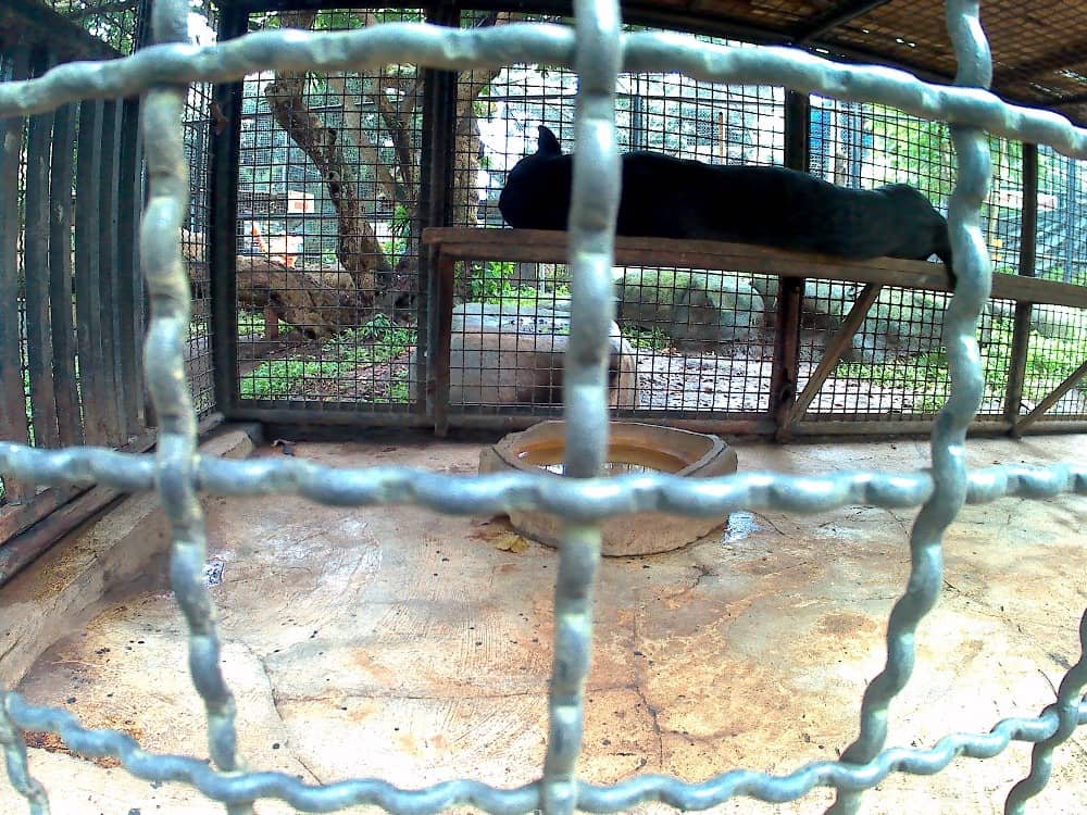 batu secret zoo