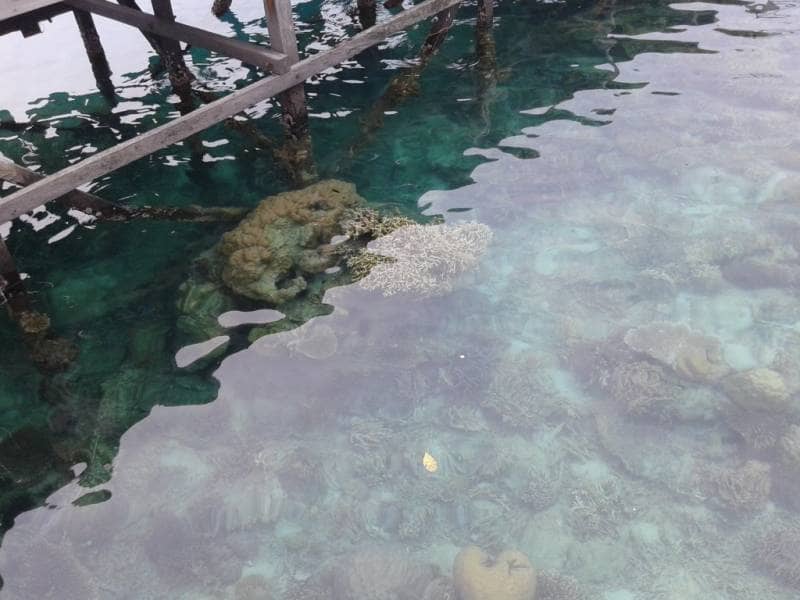 pulau sepa kepulauan seribu