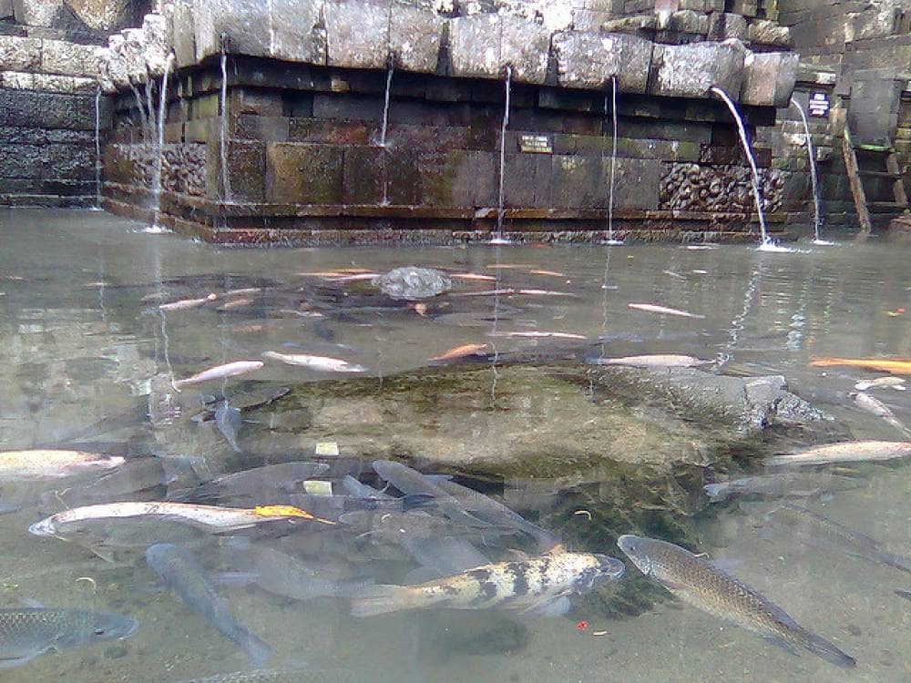 candi jolotundo
