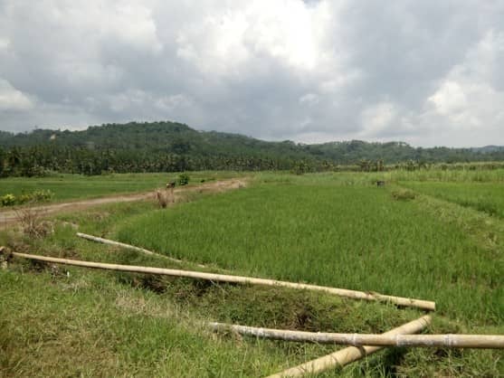 pantai sendiki malang