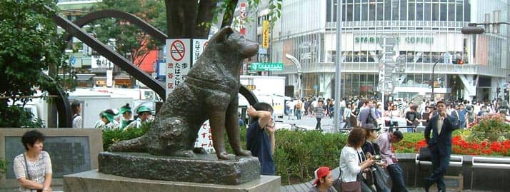 shibuya tokyo