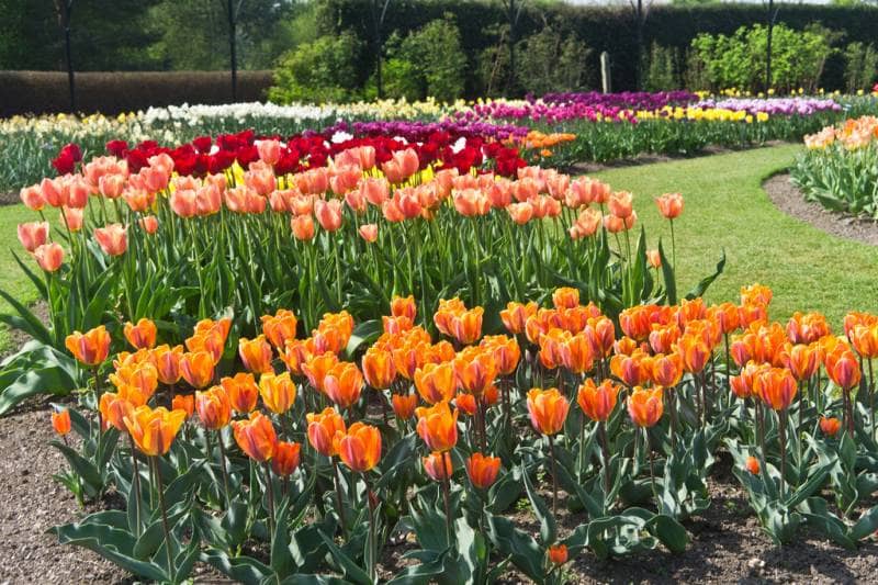 national botanic garden dublin