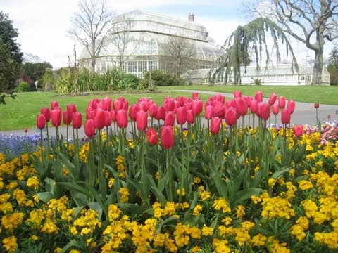 national botanic garden dublin