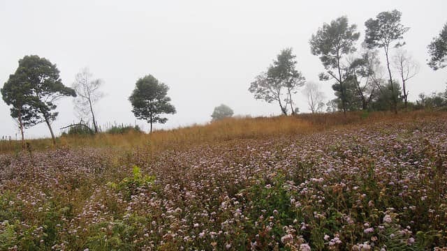 kawah wurung bondowoso