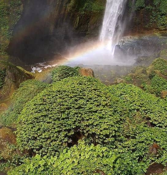 air terjun coban pelangi