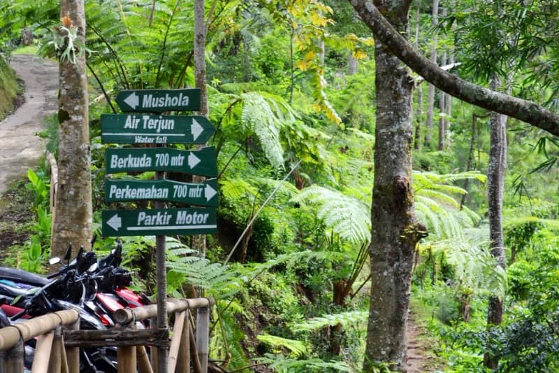 air terjun coban pelangi