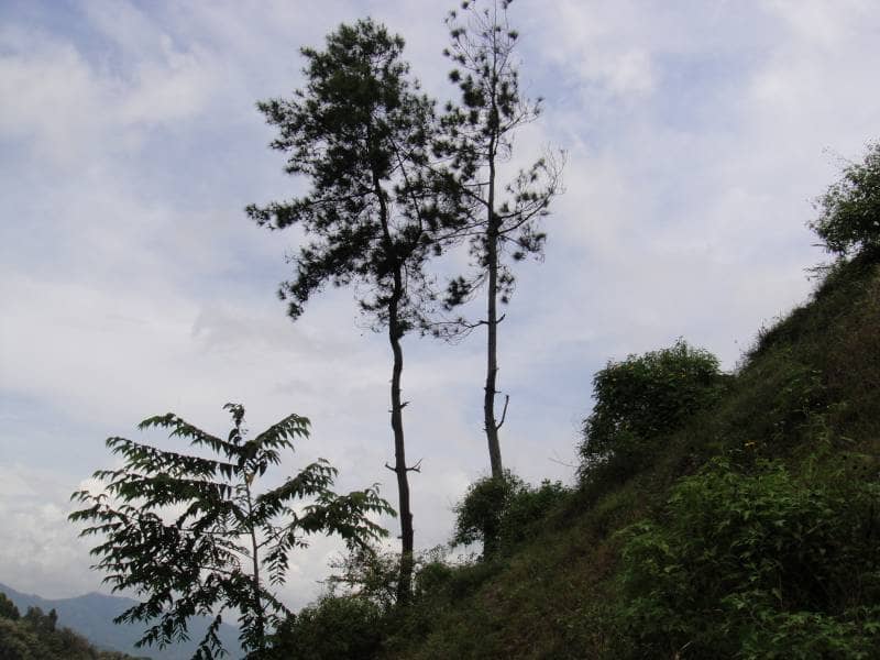 air terjun pletuk
