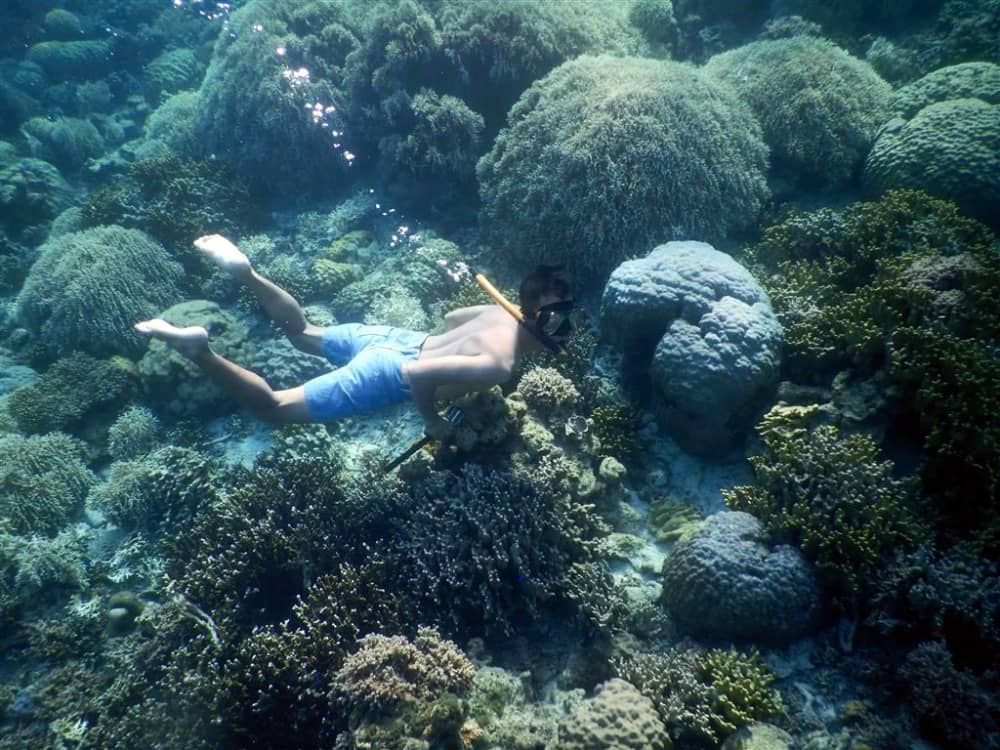 pulau gili noko bawean