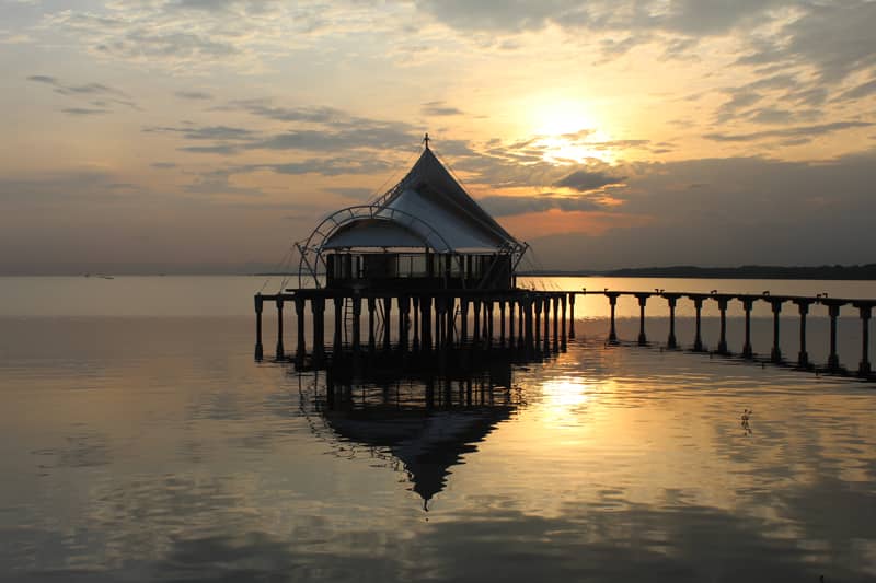 Menjelajah BJBR, Mangrove tercantik di Jawa Timur