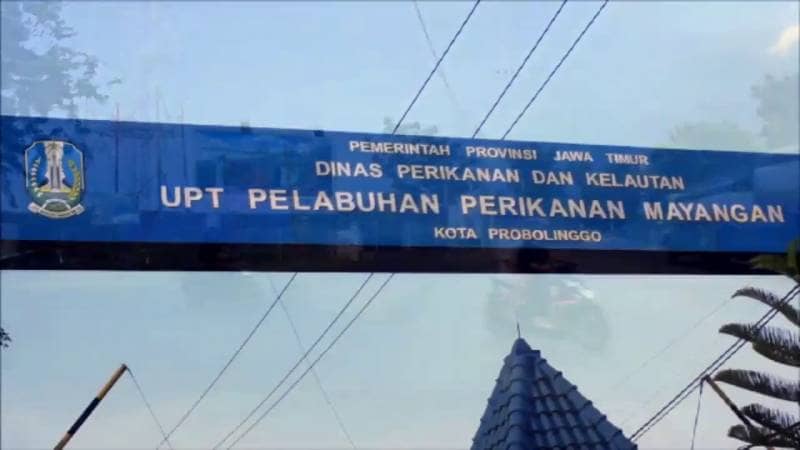 BJBR probolinggo
